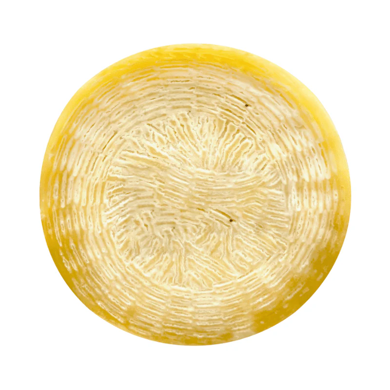 Casearia Crotonese Semiduro Brugnano DOP Wheel, 4 Lbs - Image 3