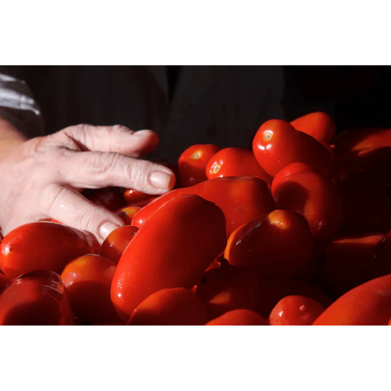 Gentile Organic Passata di Pomodoro, 35.3 oz - Image 2